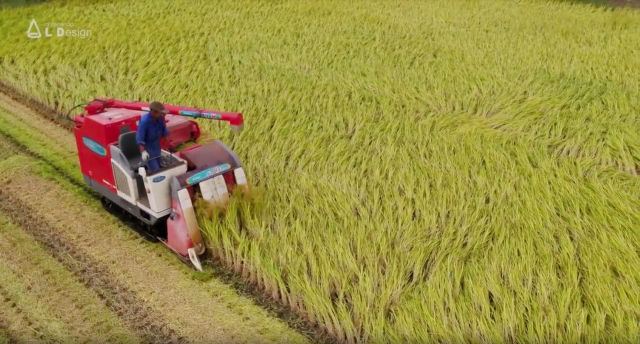 稲刈り機で稲を刈るところをドローンで撮影しました。この機会は刈りながら脱穀を同時に行える農機です。